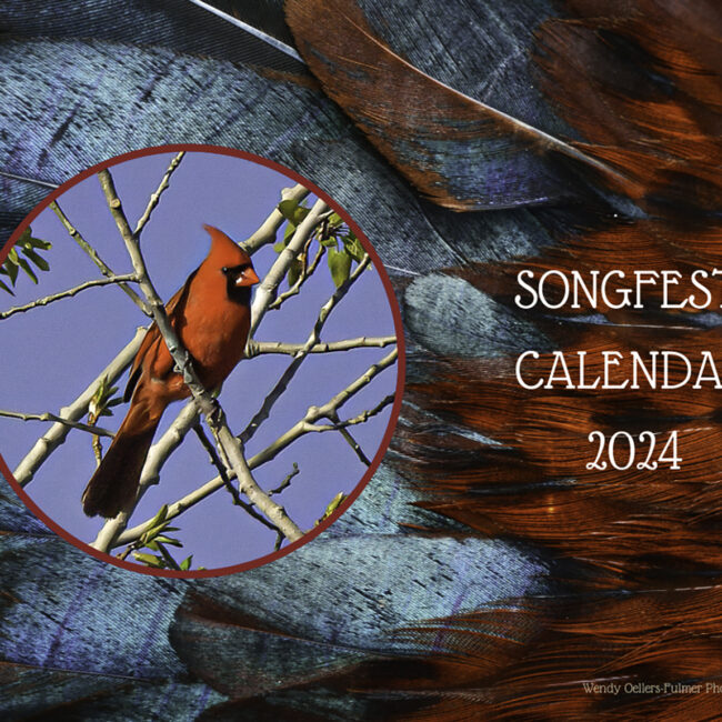 Aerial Acrobat » Dreamscape Jewelry Design