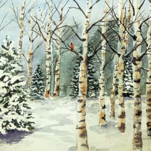 Beauty of Birches Watercolor
