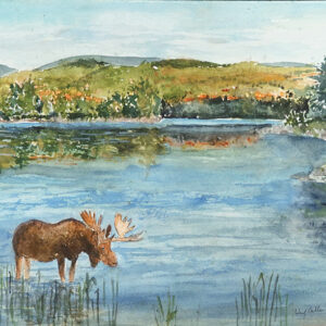 A Meandering Moose Watercolor