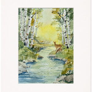 Where Light Lives: The Gentle Watch