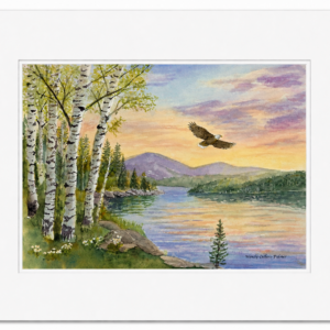 Where Light Lives: Wings Over Still Water