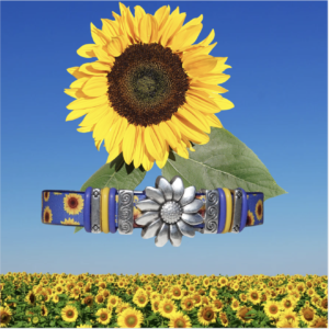 Fields of Sunshine ZoBangle®