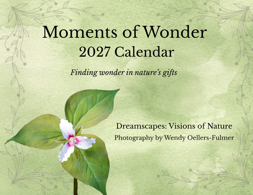 Moments of Wonder-2027 Calendar