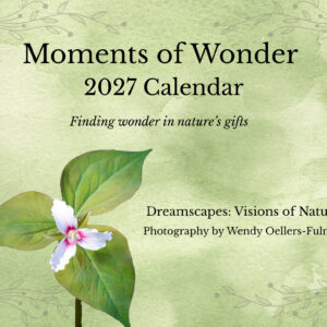 Moments of Wonder-2027 Calendar
