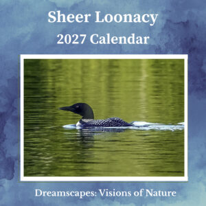 Sheer Loonacy-2027 Calendar